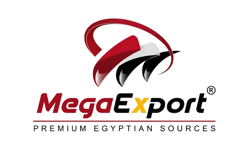 MegaExport - Premium Egyptian Sources